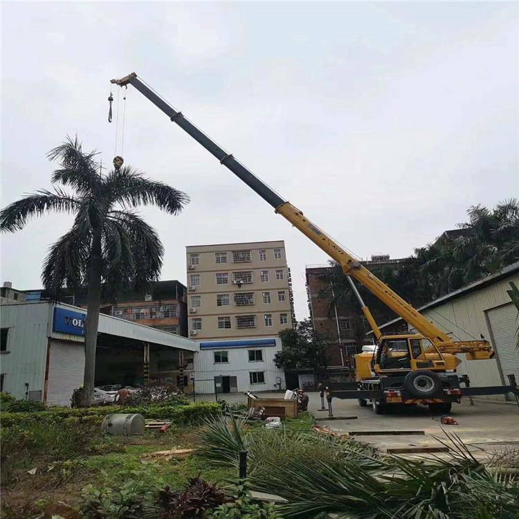 望牛墩镇汽车吊出租多少钱？全面解析与市场行情